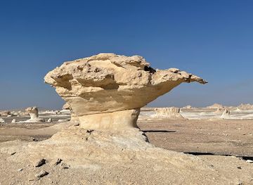 egypt/white-desert-national-park/shop/white-desert-national-park