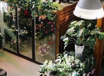 wyoming/weston-county/shop/treasured-florals-and-gifts