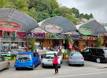 malaysia/cameron-highlands/shop/farmers-arcade-cameron-highlands