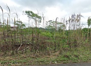 peru/amazonas/shop/conexiones-chuy