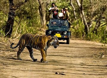 india/ranthambore/shop/ranthambhore-jungle-safari