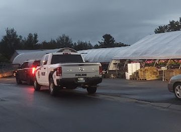 minnesota/ely/shop/ely-flower-seed-store