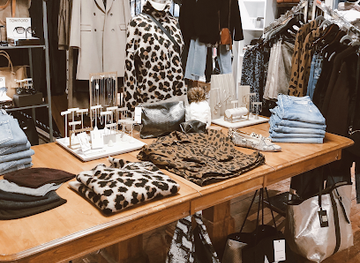 vermont/stowe/shop/coco-goose-boutique