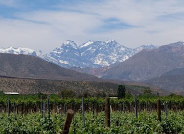 chile/aconcagua-valley/shop/in-situ-family-vineyards