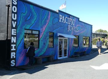 new-zealand/kaikoura/shop/pacific-jewels