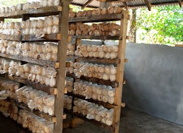 sierra-leone/moyamba-district/shop/moseray-enterprise