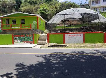 dominica/layou-river/shop/seedlings-plus