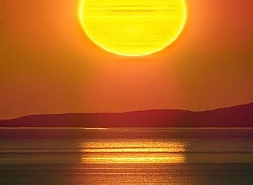 united-kingdom/isle-of-harris/shop/black-lab-gallery