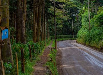 costa-rica/monteverde-cloud-forest/shop/heladeria-y-fabrica-de-quesos-monteverde