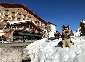 france/alpe-d-huez/shop/skimium-chic-performance-noel-sports-alpe-d-huez