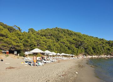 croatia/mljet-island/shop/velika-saplunara