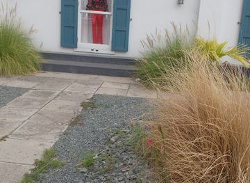 british-virgin-islands/road-town/shop/umi