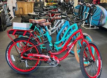 colorado/gunnison-valley/shop/pedego-electric-bikes-gunnison