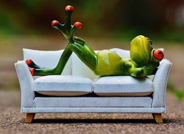 germany/palatinate/shop/military-more