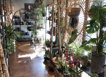 denmark/frederikshavn/shop/lepac