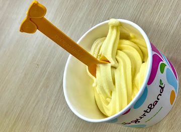 utah/bryce-canyon-city/shop/yogurtland-panguitch