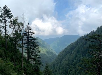 pakistan/ayubia-national-park/shop/ayubia-national-park-dunga-gali