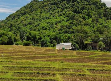 indonesia/east-nusa-tenggara/shop/green-east-indonesia