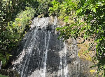 puerto-rico/caribbean-national-forest/shop/la-coca-falls