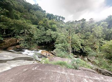 brazil/atlantic-forest/shop/parque-estadual-restinga-de-bertioga