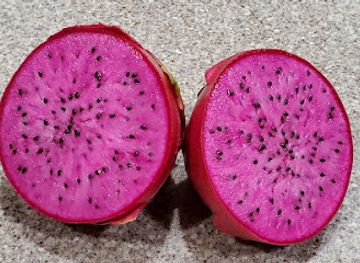 florida/fakahatchee-strand-preserve-state-park/shop/the-southwest-florida-store