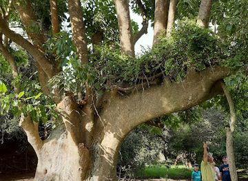 uruguay/rocha-coast/shop/monte-de-ombues