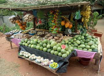 sri-lanka/yala-national-park/shop/arabage-stores