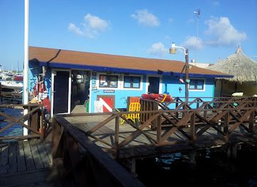 curacao/caracas-bay/shop/curious-2-dive