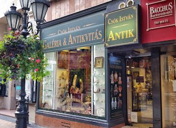 hungary/alfold-great-hungarian-plain/shop/csok-istvan-galeria-es-antikvitas