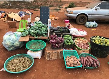 cambodia/mondulkiri-province/shop/local-avokado-market