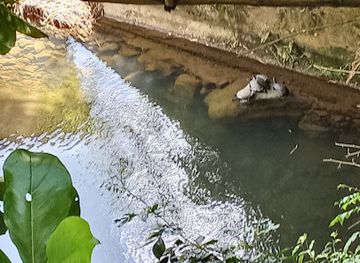 puerto-rico/luquillo-mountains/shop/colmado-sammy