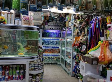 israel/tiberias/shop/safari-animals-store-tiberias