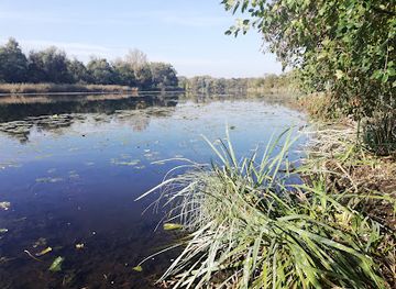 hungary/csallokoz/shop/cicovske-mrtve-rameno