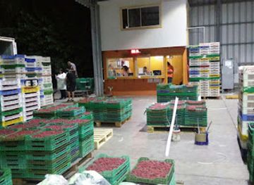 chile/nuble-region/shop/anlebe-fruits-chile