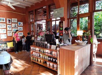 honduras/copan-region/shop/the-tea-chocolate-place