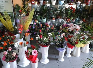 romania/fagaras-mountains/shop/floraria-myflora