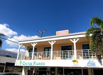 florida/fort-lauderdale/shop/cactus-flower