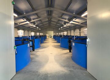 austria/seewinkel/shop/seewinkler-zander-fischzucht-mullner