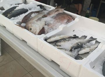 albania/saranda/shop/filippi-fresh-fish-store
