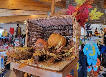 montana/gallatin-canyon/shop/twice-treasured-thrift