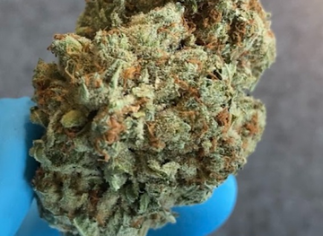 maine/sugarloaf-mountain/shop/carrabassett-cannabis-delivery