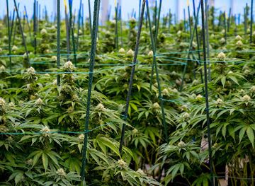 colorado/crested-butte/shop/durango-organics-crested-butte