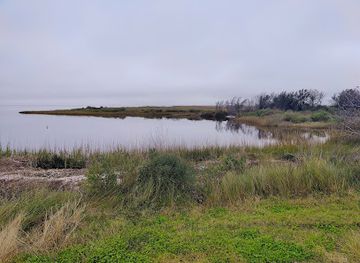 louisiana/sabine-national-wildlife-refuge/shop/blue-goose-trail