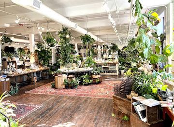 massachusetts/worcester/shop/seed-to-stem