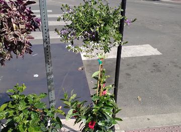 pennsylvania/philadelphia/shop/culture-exchange