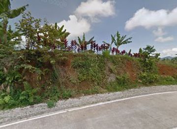 philippines/mt-apo/shop/arrow-little-online-shoppe