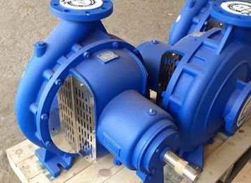 egypt/aswan/shop/shrkhh-alnws-llmqlt-waltlmbat-walmawatyr-mwz`-tlmbat-mas-wsimba-blS`yd