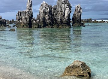 nauru/ewa/shop/turtle-shop-food-and-drinks