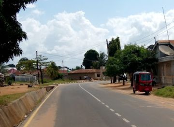 tanzania/tanga/shop/kwabikiuno