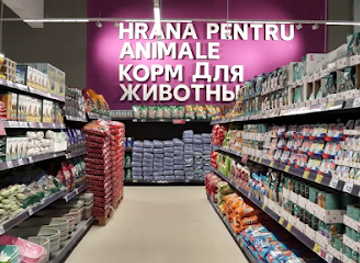 moldova/lapusna-county/shop/kaufland-ungheni